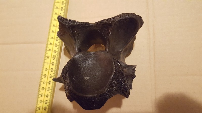 20200211_203650.jpg (174.37 KiB) 570 keer bekeken 20200211_203650.jpg