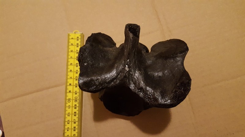 20200211_203703.jpg (151.63 KiB) 570 keer bekeken 20200211_203703.jpg