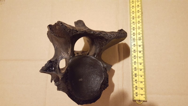 20200211_203524.jpg (155.2 KiB) 570 keer bekeken 20200211_203524.jpg