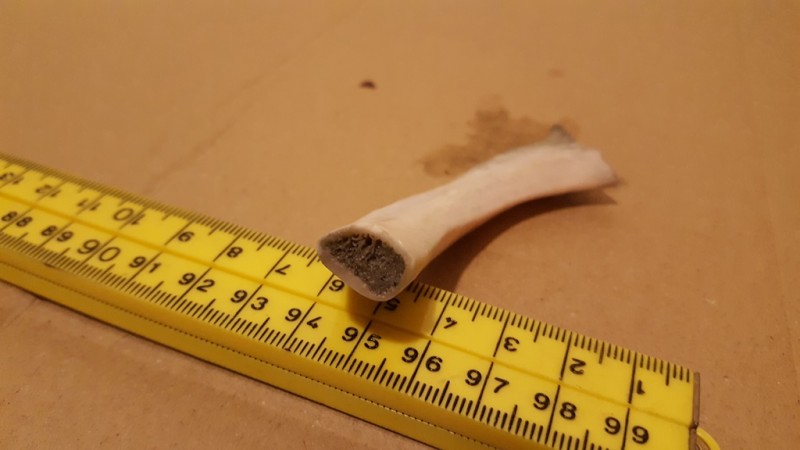 20200211_203905.jpg (133.24 KiB) 545 keer bekeken 20200211_203905.jpg