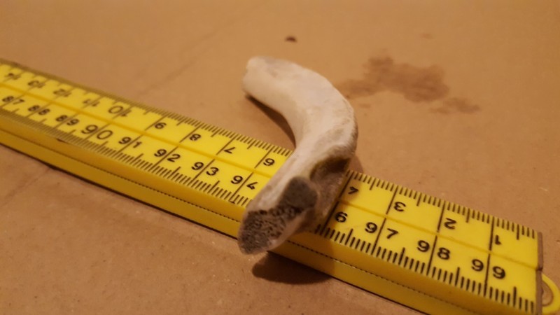 20200211_203913.jpg (133.73 KiB) 545 keer bekeken 20200211_203913.jpg