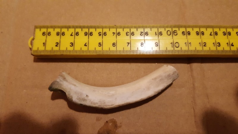 20200211_203837.jpg (151.7 KiB) 545 keer bekeken 20200211_203837.jpg