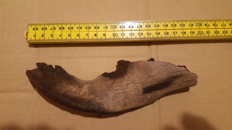 20200211_203726.jpg (195.22 KiB) 800 keer bekeken 20200211_203726.jpg