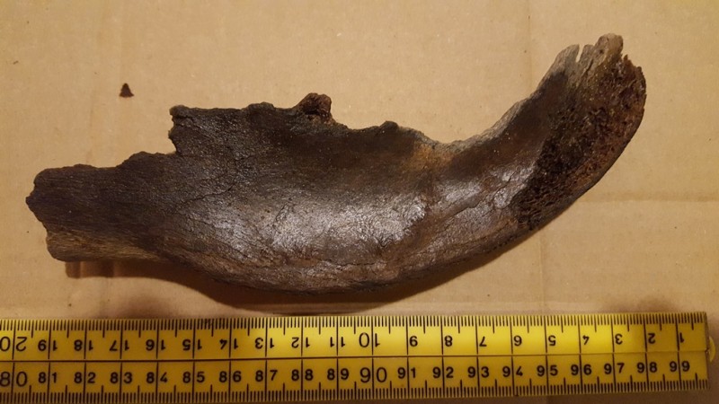 20200211_212318.jpg (227.1 KiB) 788 keer bekeken 20200211_212318.jpg