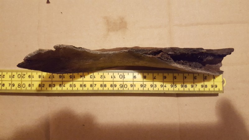 20200211_212349.jpg (166.78 KiB) 791 keer bekeken 20200211_212349.jpg