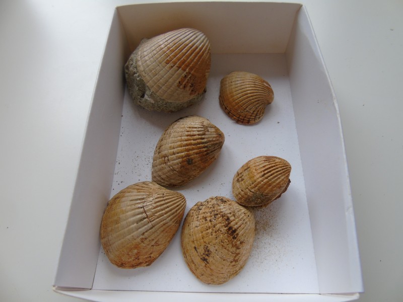 DSC04876.JPG