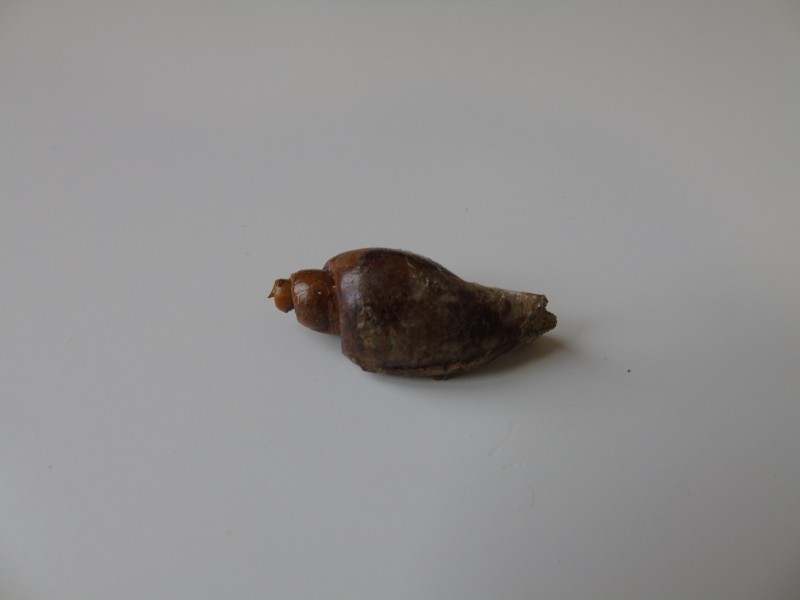 DSC04881.JPG
