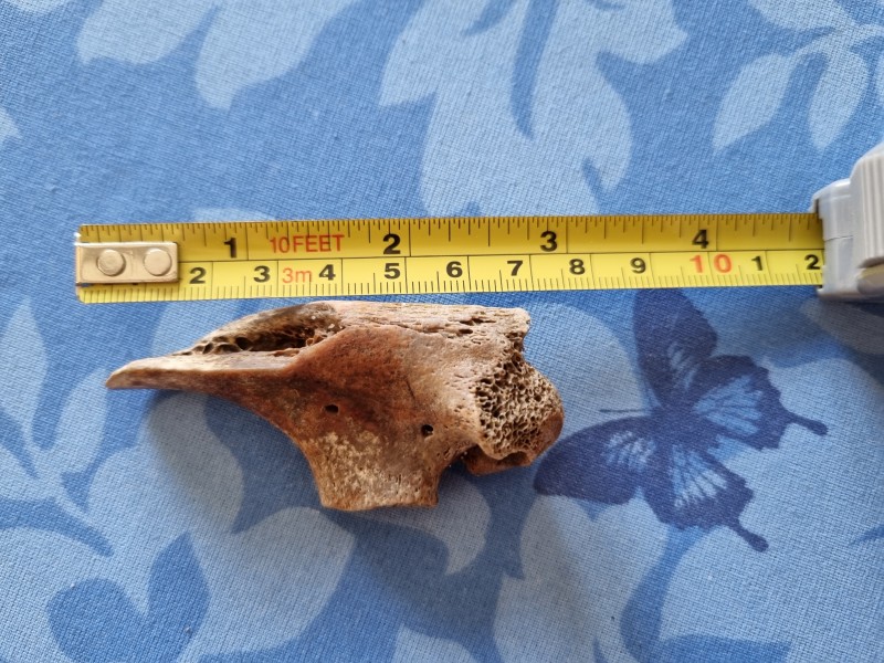 20220319_171920.jpg (3.76 MiB) 403 keer bekeken 20220319_171920.jpg