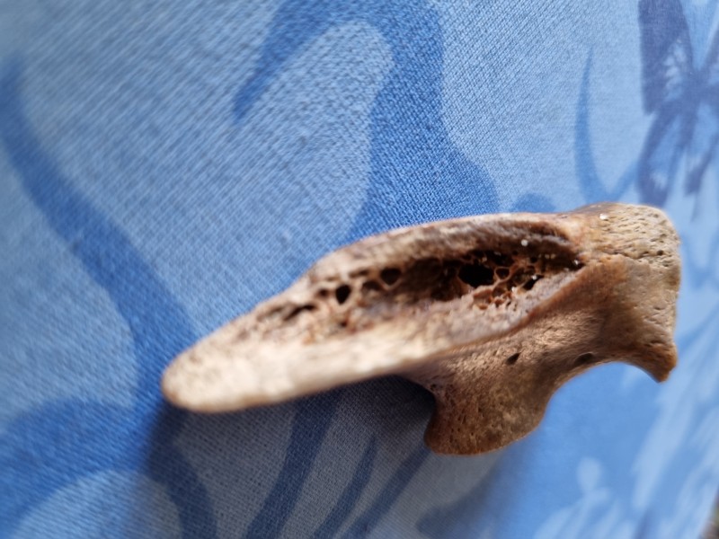 20220319_171937.jpg (2.68 MiB) 394 keer bekeken 20220319_171937.jpg