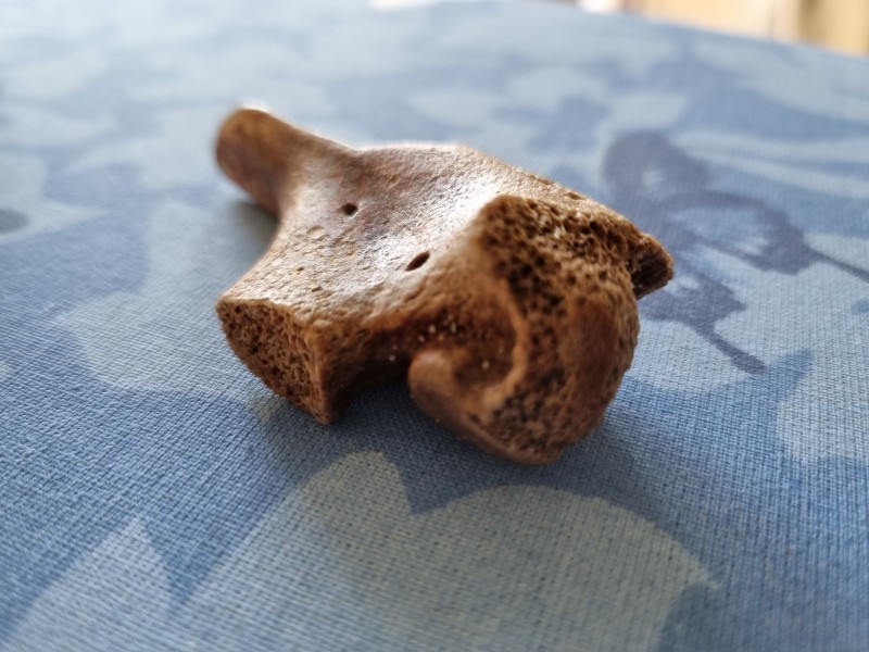 20220319_171944.jpg (2.81 MiB) 403 keer bekeken 20220319_171944.jpg