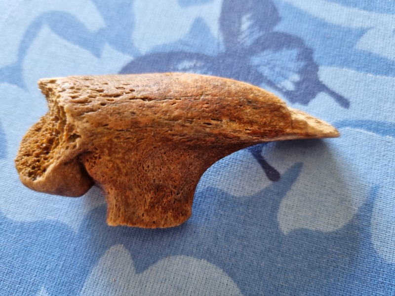 20220319_171949.jpg (3.31 MiB) 403 keer bekeken 20220319_171949.jpg