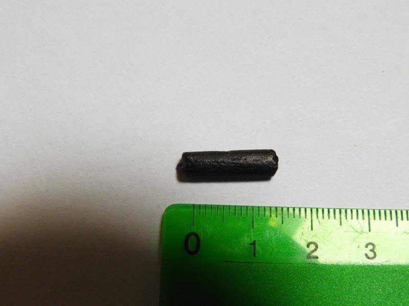stekel3.JPG
