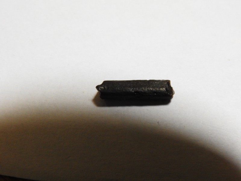 stekel4.JPG