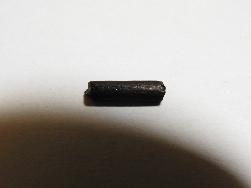 stekel5.JPG
