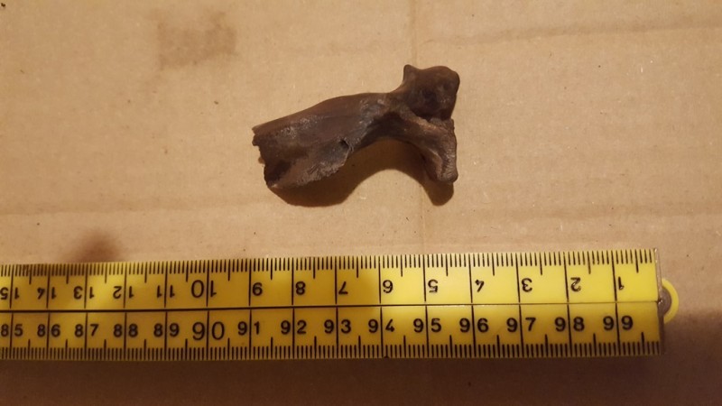 20200211_212524.jpg (160.81 KiB) 1163 keer bekeken 20200211_212524.jpg