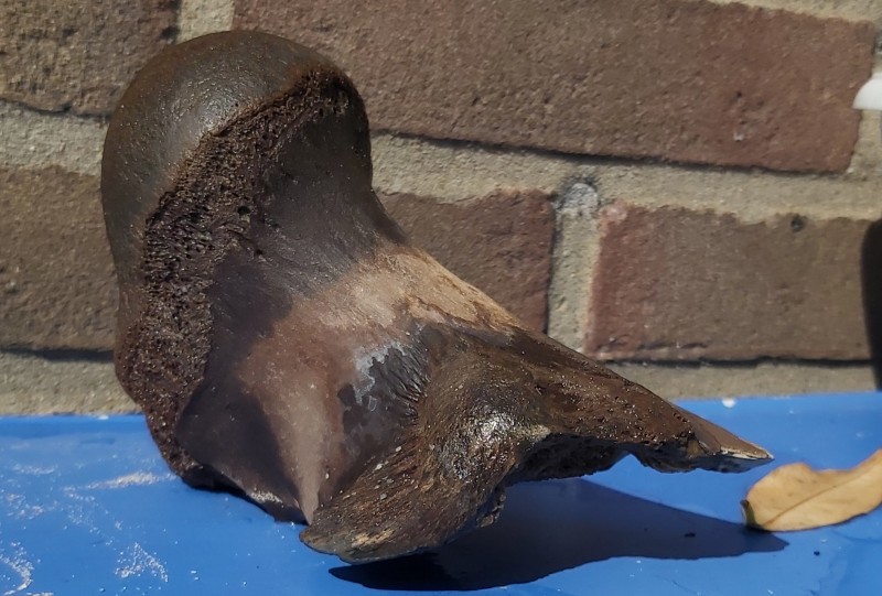 20220401_143752.jpg (1.57 MiB) 420 keer bekeken 20220401_143752.jpg