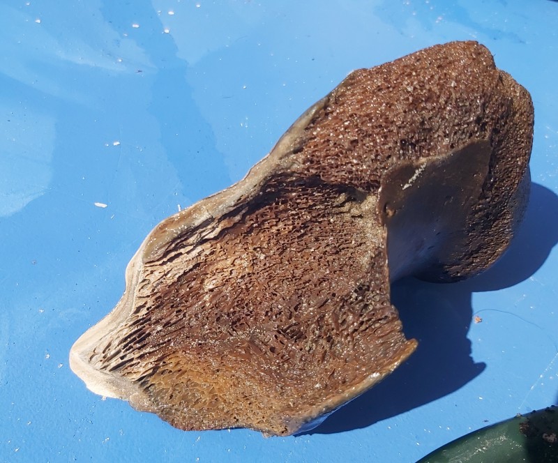 20220401_143917.jpg (2.62 MiB) 420 keer bekeken 20220401_143917.jpg