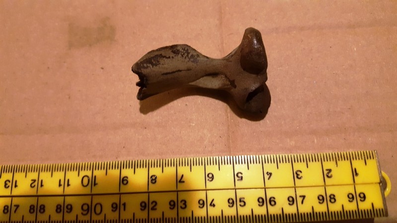 20200211_212530.jpg (188.4 KiB) 1128 keer bekeken 20200211_212530.jpg