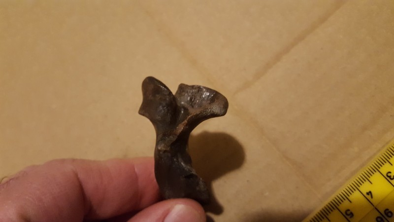 20200211_212539.jpg (123.68 KiB) 1128 keer bekeken 20200211_212539.jpg