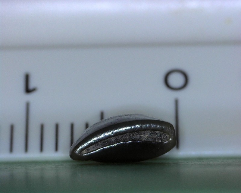 A072 - 20220320_134322.jpg