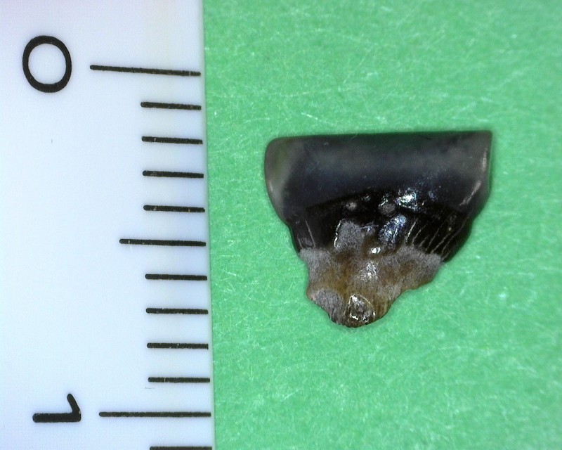A070 - 20220320_133625.jpg