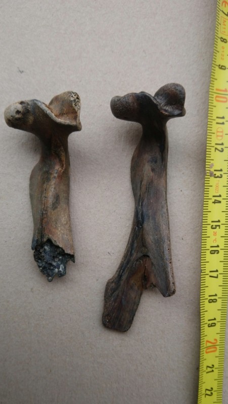 1563194276DSC-1118-2.JPG (357.97 KiB) 1115 keer bekeken 1563194276DSC-1118-2.JPG