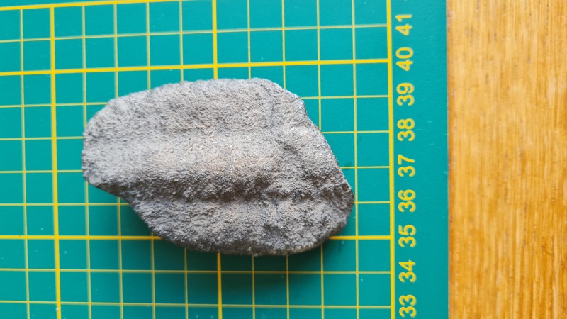 20220527_180641.jpg (2.34 MiB) 311 keer bekeken 20220527_180641.jpg