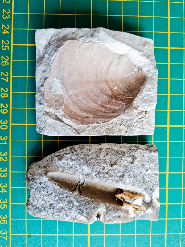 20220527_184526_01.jpg