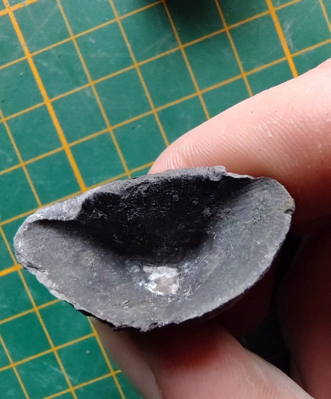 IMG_20220530_175204401_HDR~2.jpg (1.03 MiB) 798 keer bekeken IMG_20220530_175204401_HDR~2.jpg