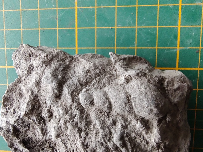 IMG_20220530_174609015.jpg (2.57 MiB) 798 keer bekeken IMG_20220530_174609015.jpg