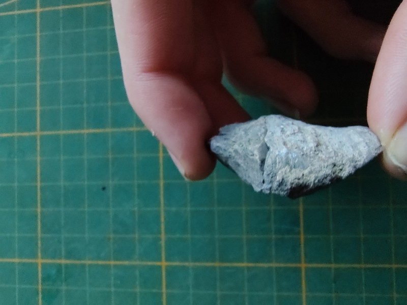 IMG_20220614_212828418_HDR.jpg (6.49 MiB) 741 keer bekeken IMG_20220614_212828418_HDR.jpg