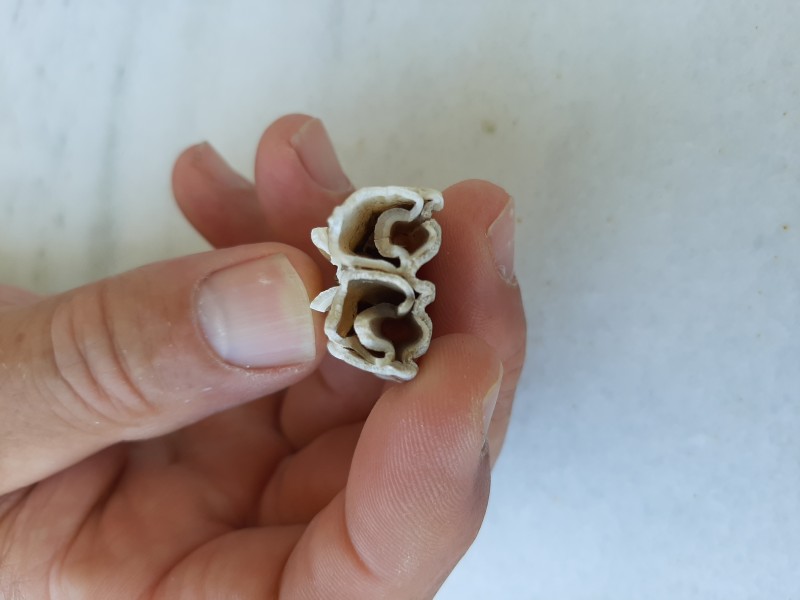 20220616_104401.jpg (1.66 MiB) 425 keer bekeken 20220616_104401.jpg