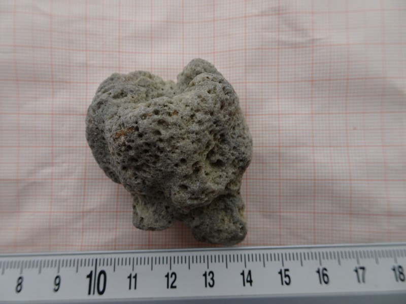 DSC04538klein.JPG (181.93 KiB) 598 keer bekeken DSC04538klein.JPG