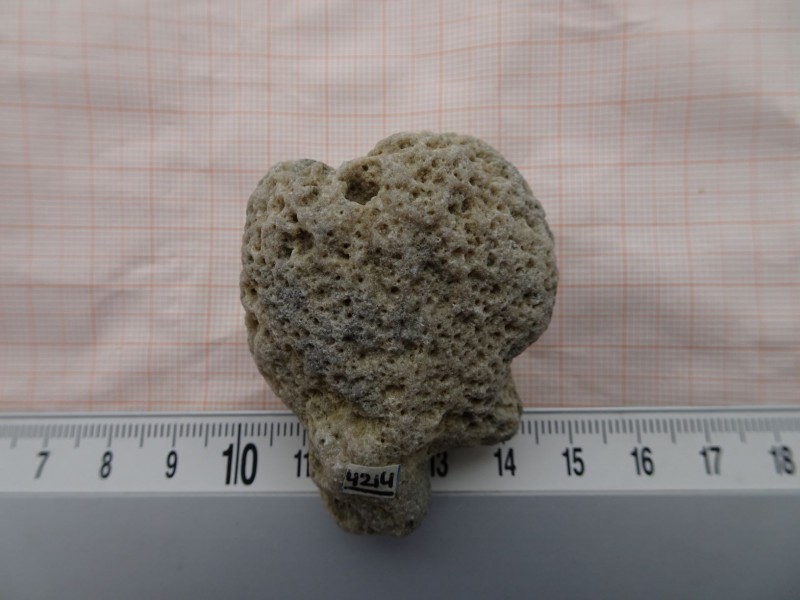 DSC04539klein.JPG (171.82 KiB) 598 keer bekeken DSC04539klein.JPG