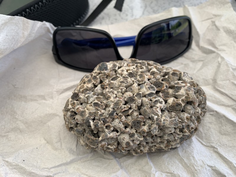 6A575111-E62E-45A4-A541-0BD28C82BC34.jpeg (2.86 MiB) 412 keer bekeken 6A575111-E62E-45A4-A541-0BD28C82BC34.jpeg