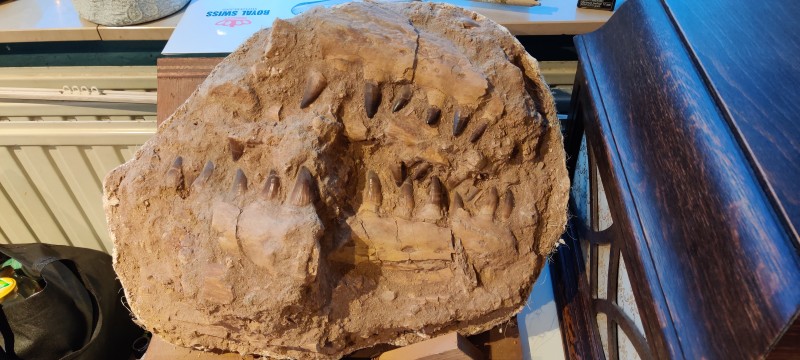 IMG_20200224_180726.jpg (2.47 MiB) 3224 keer bekeken IMG_20200224_180726.jpg