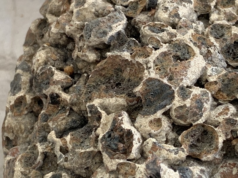C3292C9B-BEA0-432F-98E3-80A34C633D6E.jpeg (2.21 MiB) 484 keer bekeken C3292C9B-BEA0-432F-98E3-80A34C633D6E.jpeg