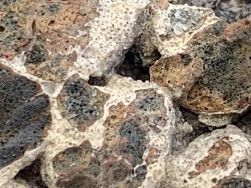 F565082C-E8C2-464F-A8A6-06356207EC7A.jpeg (1.64 MiB) 412 keer bekeken F565082C-E8C2-464F-A8A6-06356207EC7A.jpeg