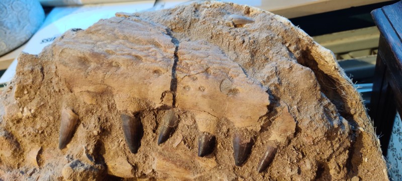 IMG_20200224_180732.jpg (2.56 MiB) 3208 keer bekeken IMG_20200224_180732.jpg