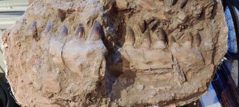 IMG_20200224_180740.jpg (2.35 MiB) 3208 keer bekeken IMG_20200224_180740.jpg