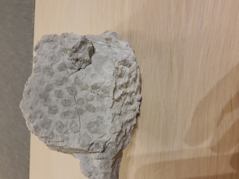 IMG_20220708_222512947.jpg (2.15 MiB) 1189 keer bekeken IMG_20220708_222512947.jpg