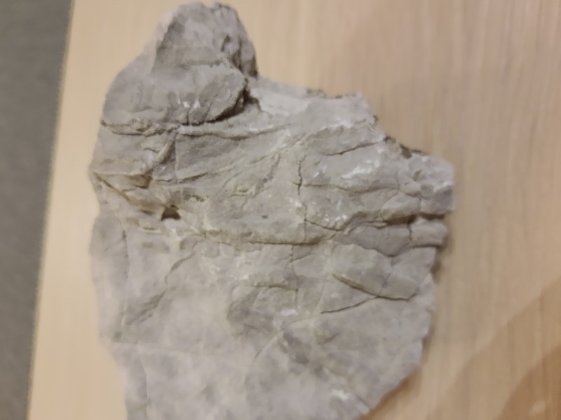 IMG_20220708_222502388.jpg (1.46 MiB) 1190 keer bekeken IMG_20220708_222502388.jpg