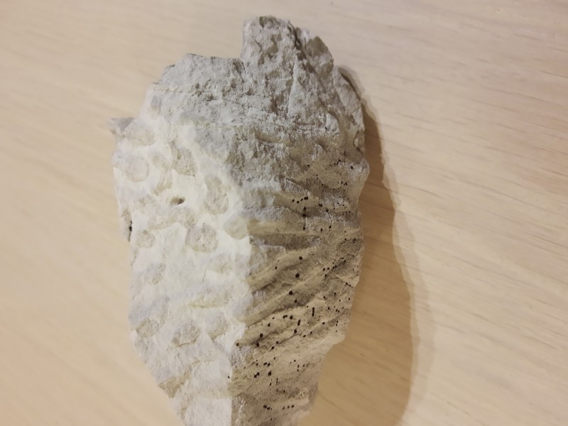 IMG_20220708_222425201.jpg (1.71 MiB) 1151 keer bekeken IMG_20220708_222425201.jpg