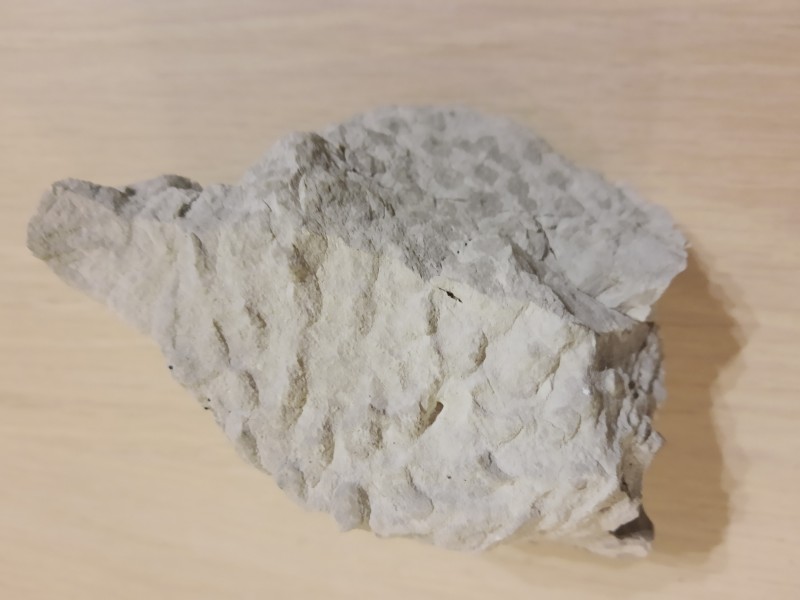 IMG_20220708_222418602.jpg (1.42 MiB) 1191 keer bekeken IMG_20220708_222418602.jpg