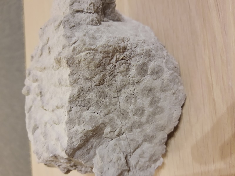 IMG_20220708_222403919.jpg (2.32 MiB) 1189 keer bekeken IMG_20220708_222403919.jpg