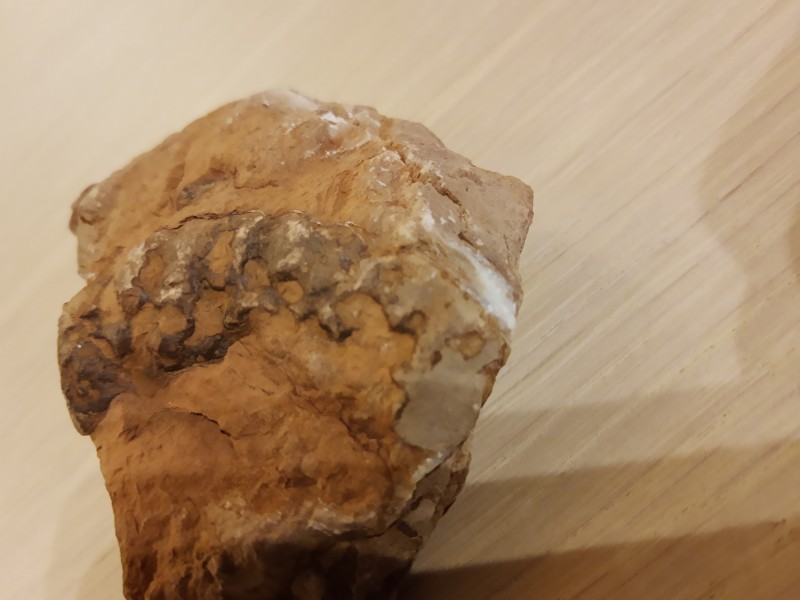 IMG_20220708_222854871.jpg (1.64 MiB) 1664 keer bekeken IMG_20220708_222854871.jpg