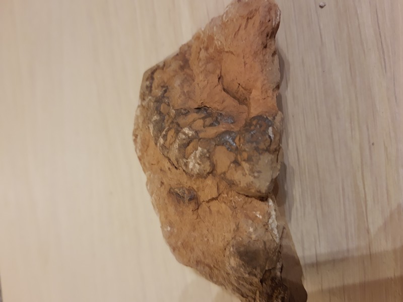 IMG_20220708_222812321.jpg (1.58 MiB) 1662 keer bekeken IMG_20220708_222812321.jpg