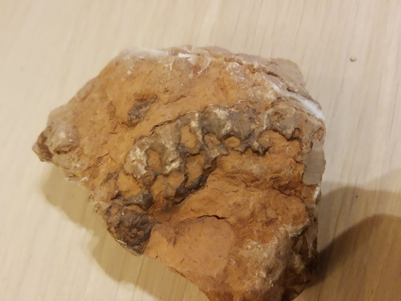 IMG_20220708_222802574.jpg (3.01 MiB) 1639 keer bekeken IMG_20220708_222802574.jpg