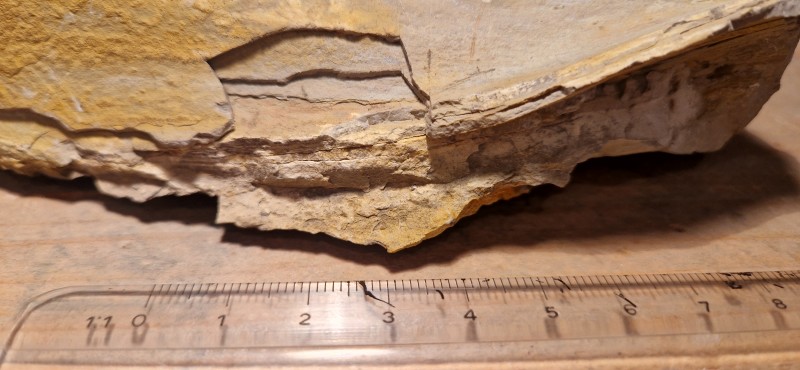 20220718_174809.jpg