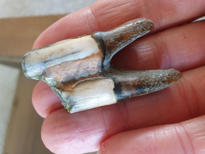 1658162660370860303492740153265.jpg (3.03 MiB) 2315 keer bekeken 1658162660370860303492740153265.jpg